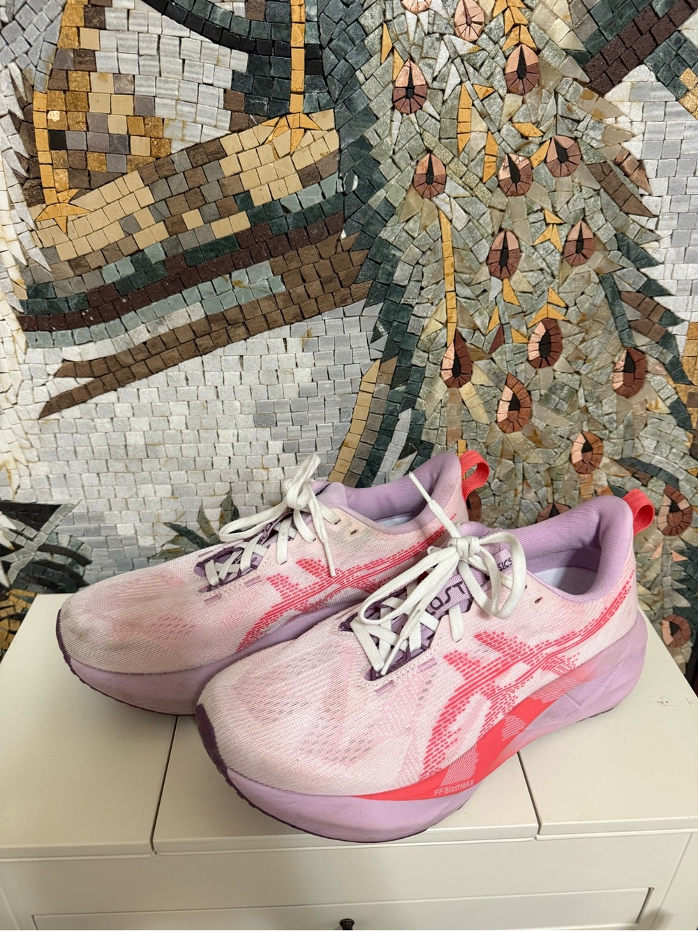 ASICS Women's Pink and Purple Running Shoes